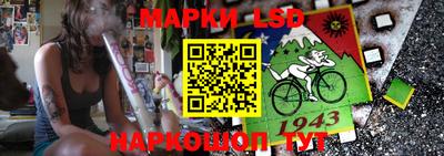 apvp Можга