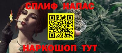 тгк Моздок
