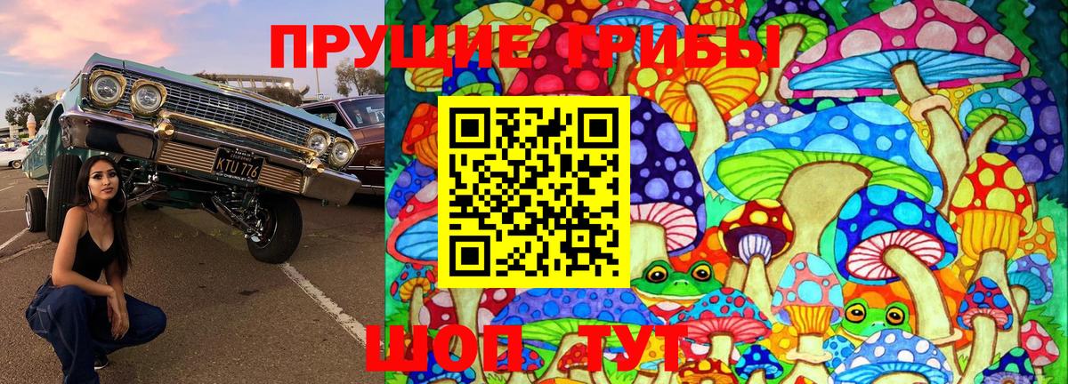 Галлюциногенные грибы Psilocybine cubensis  Вход с VPN  Галлюциногенные грибы ЛСД  Боровичи 