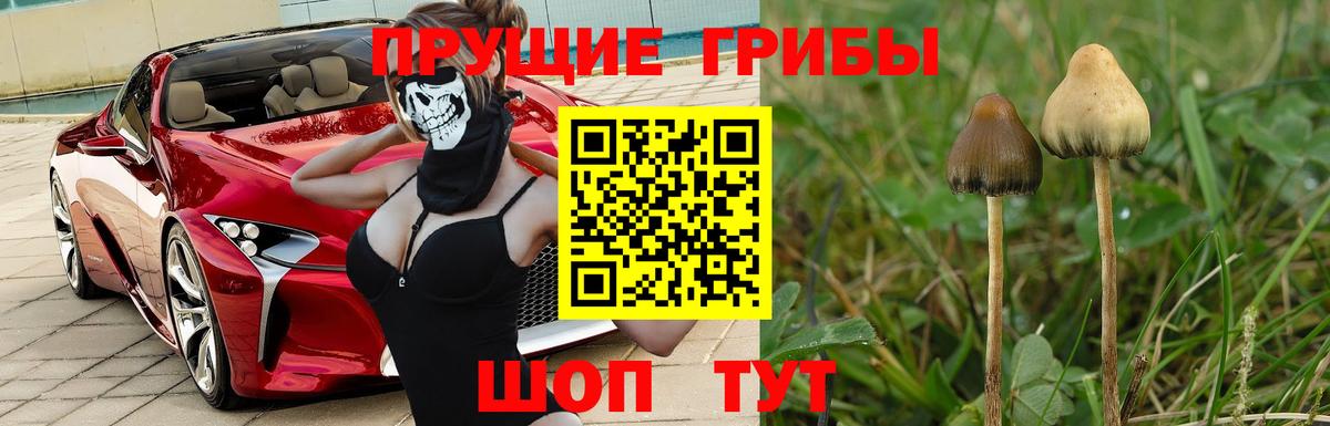Галлюциногенные грибы мицелий Боровичи